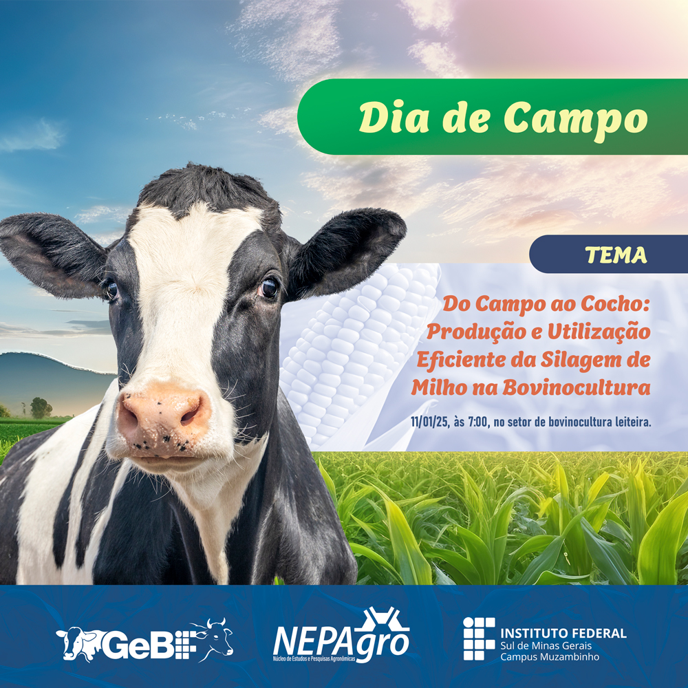 bovinocultura dia de campo